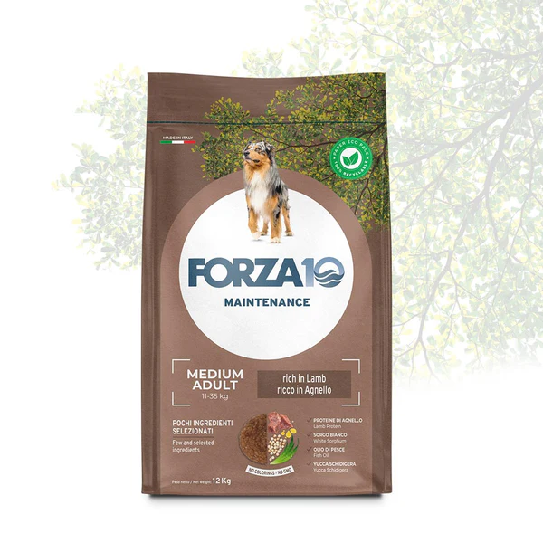 MediumadultLambandricemainapakaprieksa Forza10 Medium Adult Maintenance ягненок с рисом сухой корм для средних взрослых собак, 12 кг — изображение 1